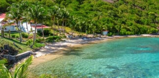 Plage du Pain de Sucre Les saintes island Guadeloupe