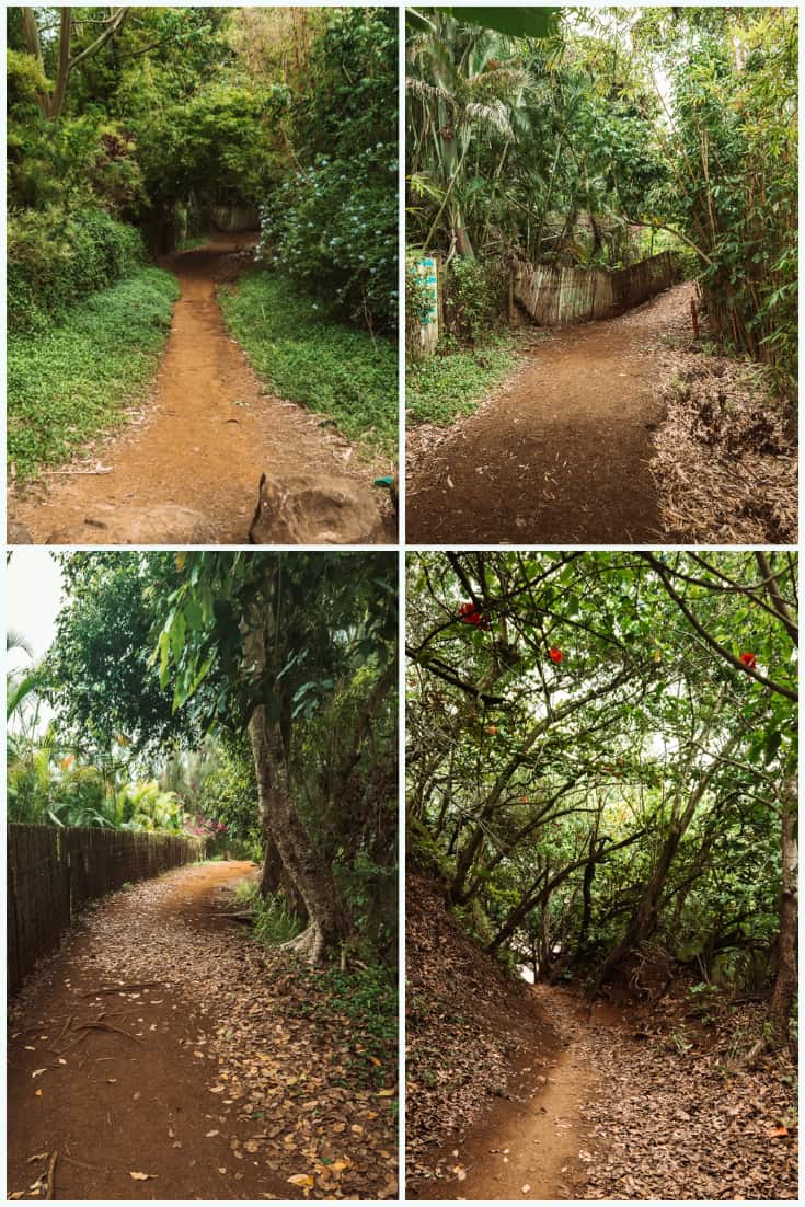 Secret Beach Kauai hike