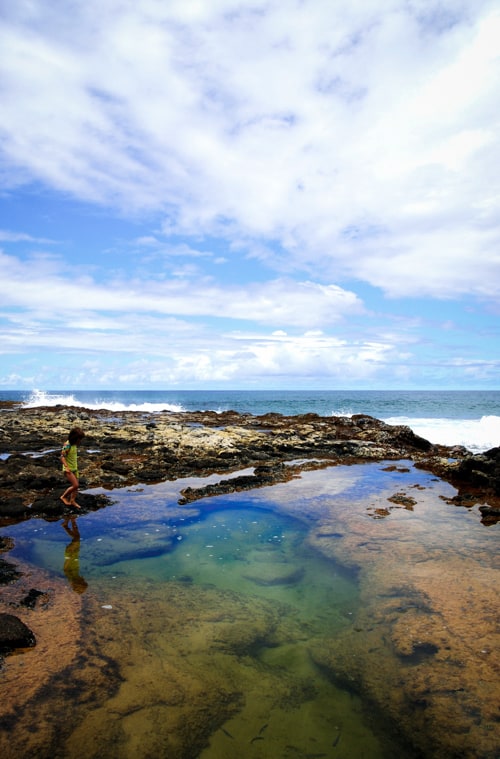 Secret beach tide pools in Kauai