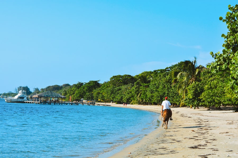 West Bay Beach horseback riding in Roatan, Honduras