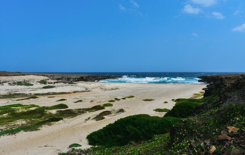 Daimari Beach in Aruba