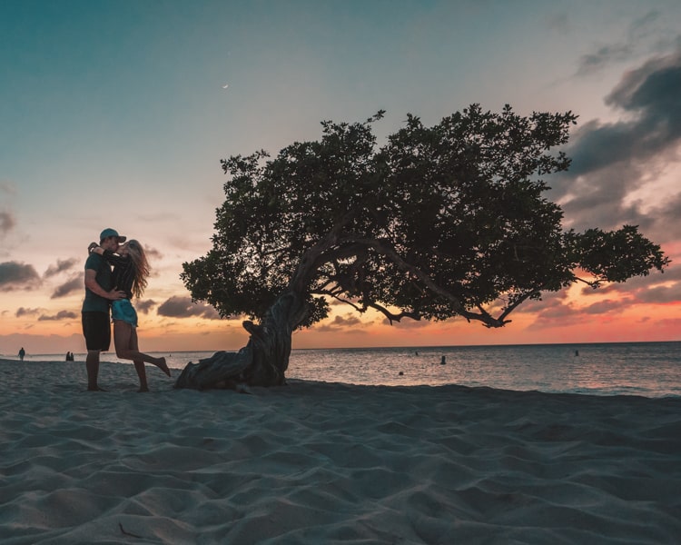 Eagle beach Aruba sunset