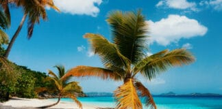 Salomon Beach in St John US Virgin Islands