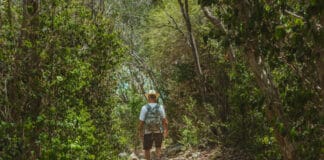 Lind Point Trail St. John