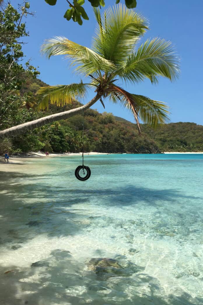 Tire swing over Oppenheimer Beach on St. John in the US Virgin Islands