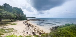 Anse Vinaigri