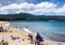 Haleʻiwa Beach Park