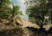 Plage de Leroux