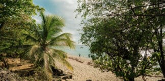 Plage de Leroux