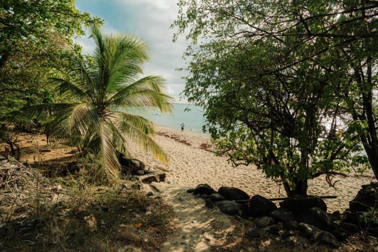 Plage de Leroux