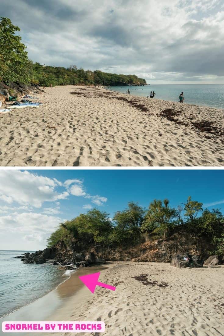 Plage de Leroux snorkeling