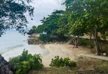 Anse Tabarin Guadeloupe