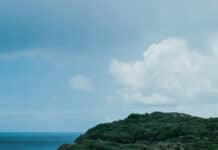 Anse Tarare nude beach in Guadeloupe