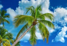 Bavaro Beach in Punta Cana