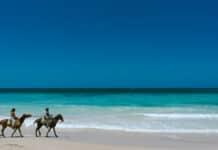 Macao Beach horseback riding in Punta Cana Dominican Republic