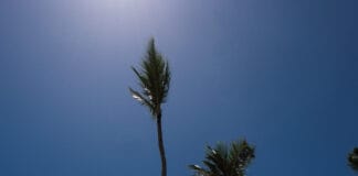Playa El Cortecito on Bavaro beach in Punta Cana, Dominican Republic
