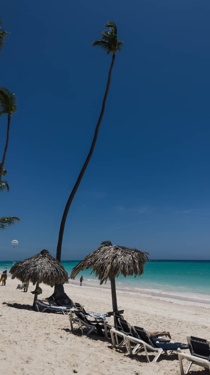 Playa El Cortecito palm trees in Punta Cana, Dominican Republic