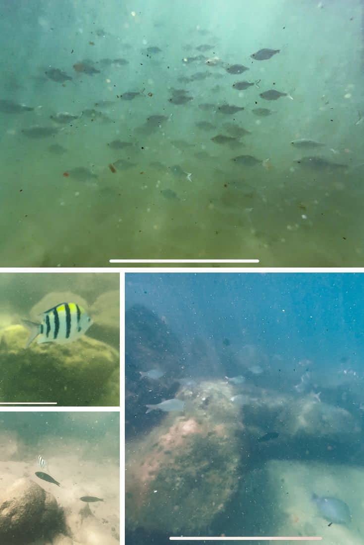 Lydgate Beach snorkeling