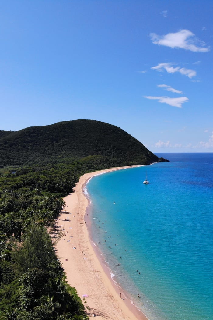 Plage de Grande Anse beach on Basse-Terre island in Guadeloupe. Caribbean.