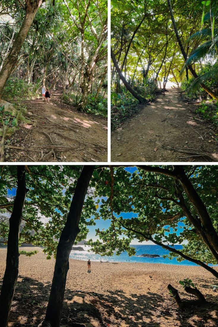 Waikoko Beach trail