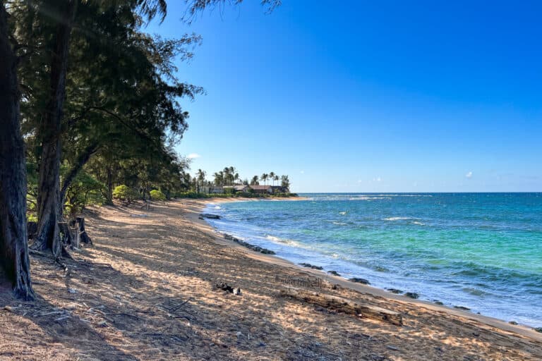 Wainiha Beach Park in Kauai Hawaii