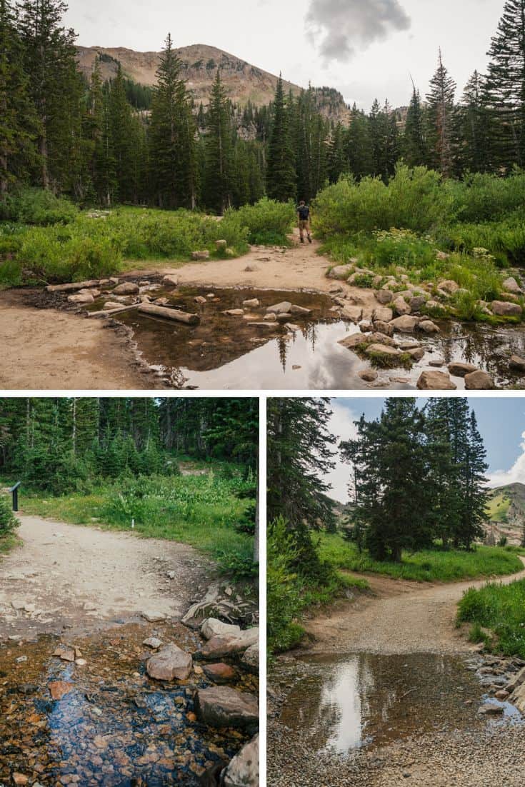 Cecret Lake Stream Crossings