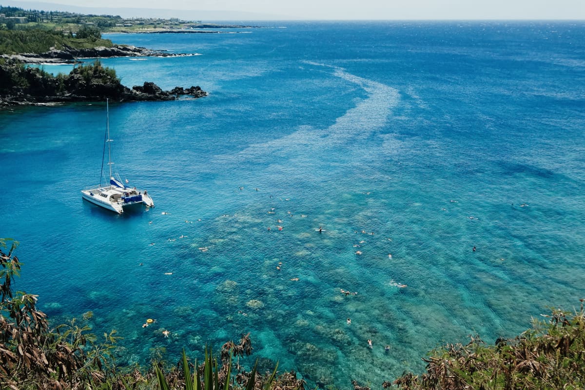 Honolua Bay reef snorkeling