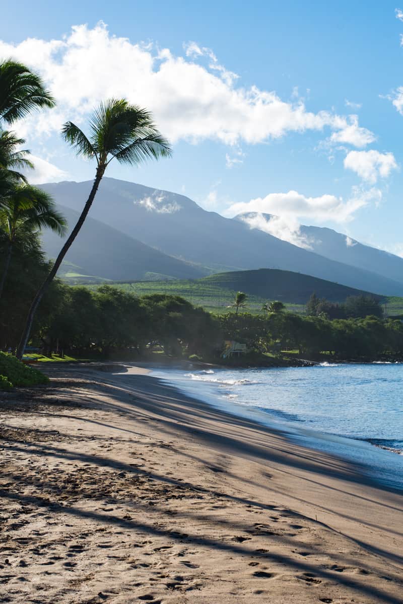 Lahaina beach on the island of Maui Hawaii