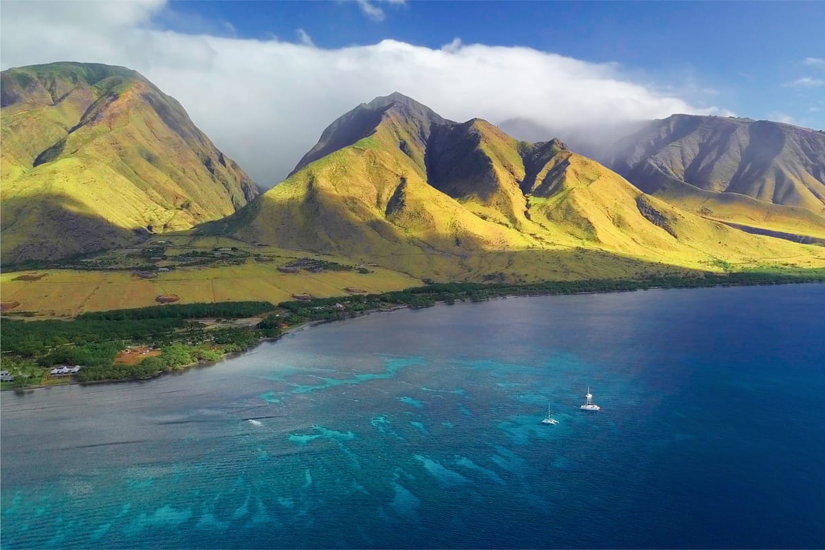 Olowalu Hawaii coral reef