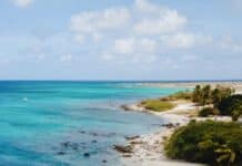 Boca Catalina Beach Aruba