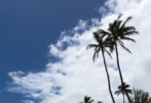 Kaaawa Beach Park in Oahu Hawaii