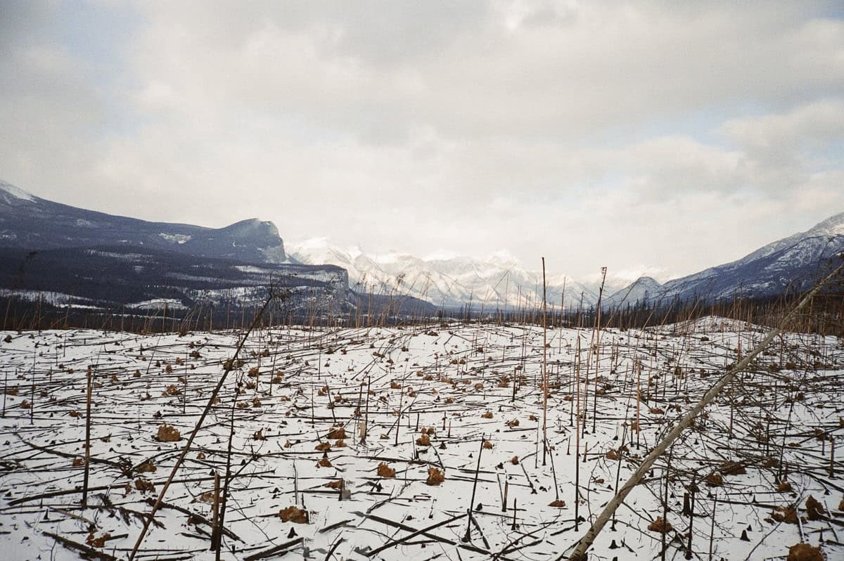 Jasper National Park fire damage