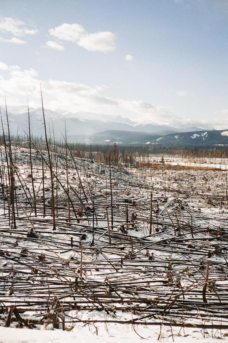 Jasper National Park fire damage