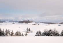 How to Get Around Biei Without a Car (Winter Guide to Buses, Taxis & Tours) Biei winter scenery