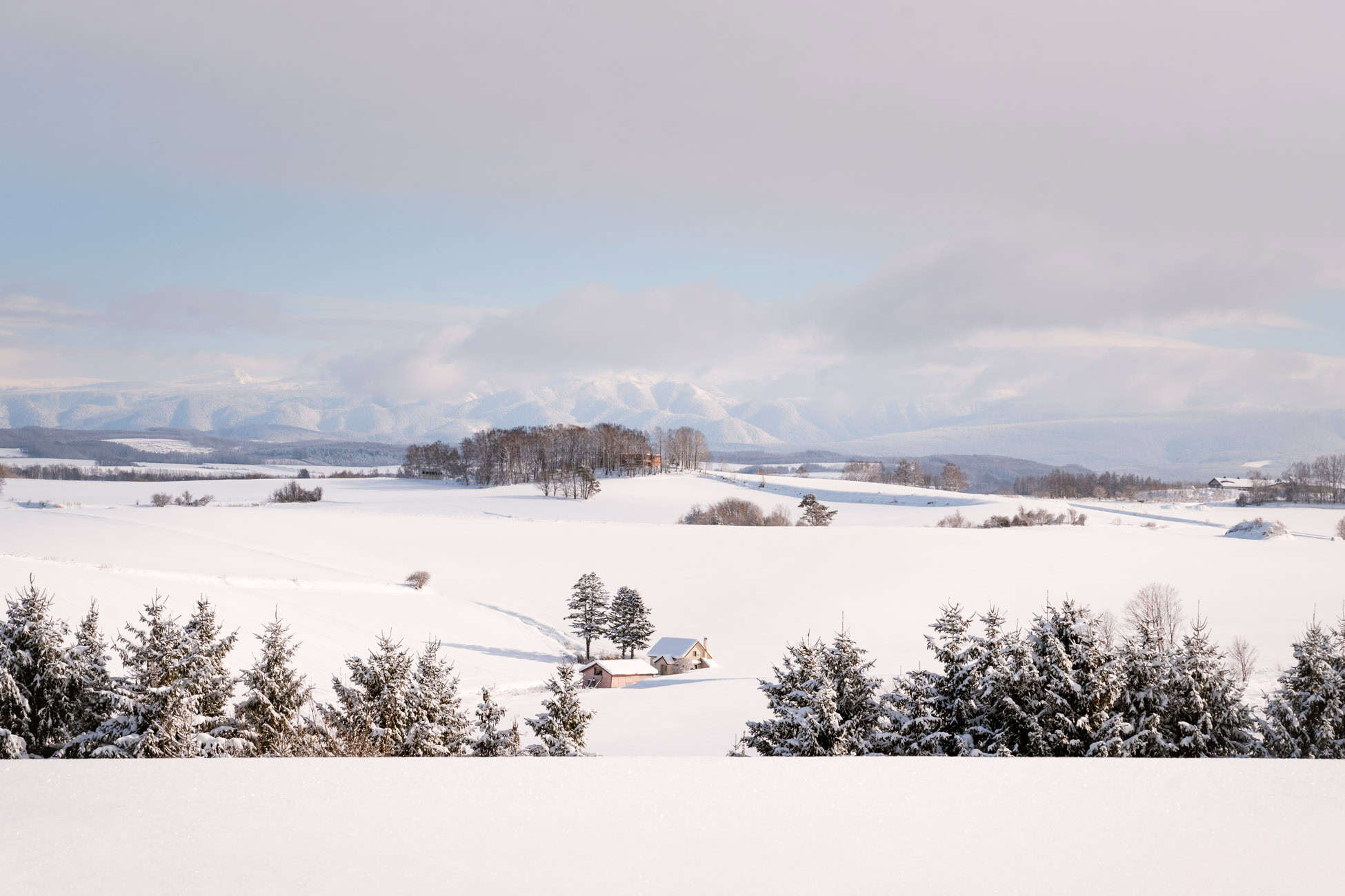 Biei winter scenery
