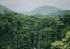 La Fortuna Waterfall from the viewpoint