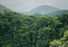 La Fortuna Waterfall from the viewpoint