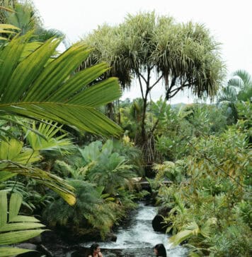 Tabacon hot springs