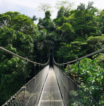 Mistico Hanging Bridges Park