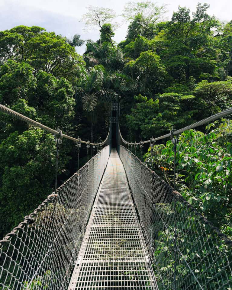 Mistico Hanging Bridges Park