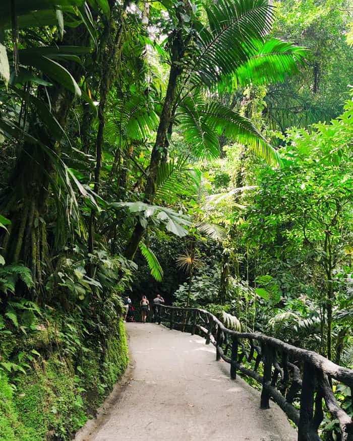 Mistico Hanging Bridges Park path