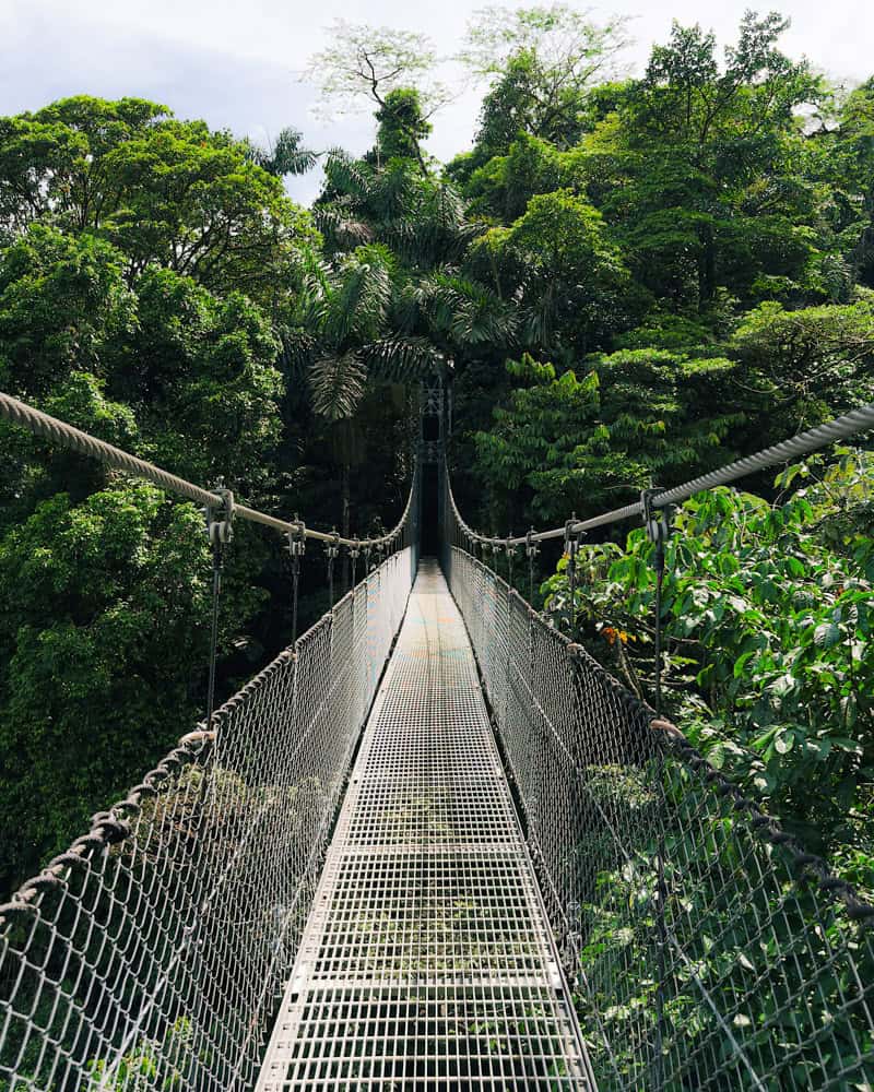 Mistico Hanging Bridges Park