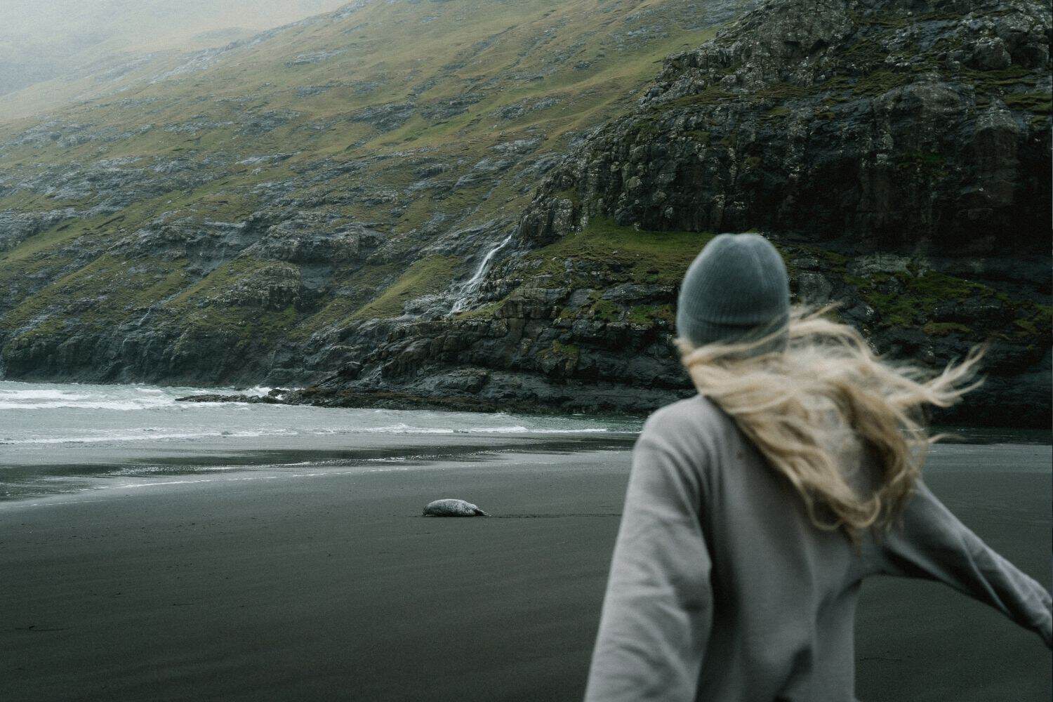Woman walking toward a seal on the black sand beach at Saksun Lagoon in the Faroe Islands.